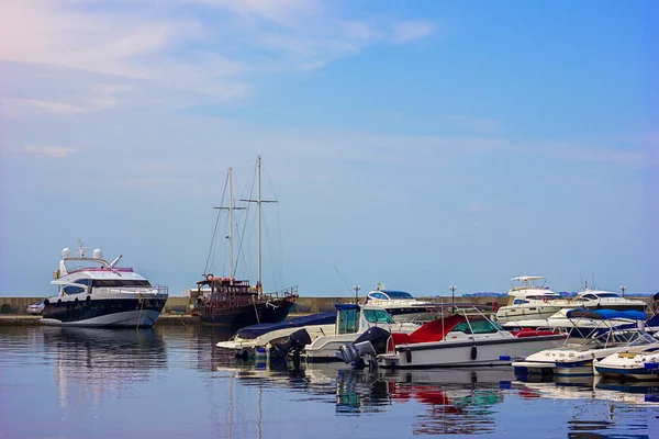 Koyun kıyısında tekneler ve gemiler sakin güneşli bir günde, tekne gezisi, seçici incir ağacı