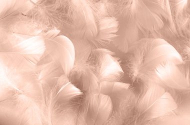 2025 Mocha Mousse, duyarlılık ve yumuşaklık konsepti, seçici odak noktası