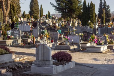 Glucholazy Polonya - 1303 2022: Polonya 'daki mezarlık, ölüleri ziyaret etme geleneği