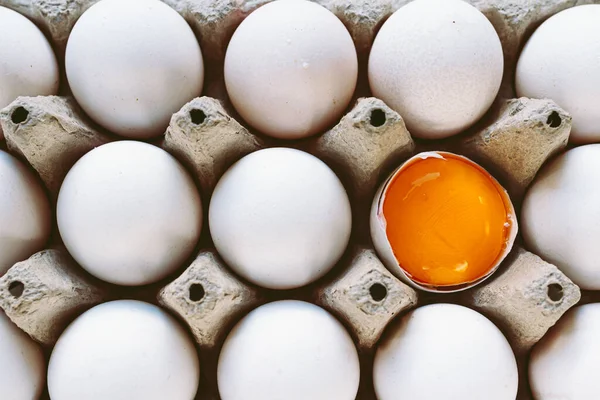 白い殻の卵と再生段ボールトレイに黄身と1つの壊れた卵のトップビュー 多様性個性健康的な食べ物 — ストック写真