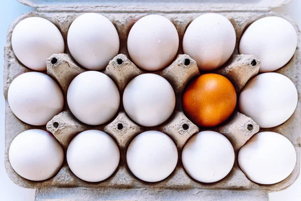 Top view of eggs with white shell and one brown egg, in recycled cardboard tray. concept of diversity, individuality, healthy foods. brown-shelled egg stands out against white-shelled eggs