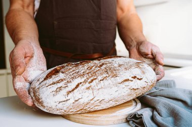 Rye craft homemade bread in muscular textured hands of male baker. hands of male cook in flour hold freshly baked rye bread close-up