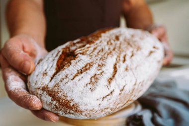 Rye craft homemade bread in muscular textured hands of male baker. hands of male cook in flour hold freshly baked rye bread close-up
