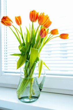 Spring bright yellow orange tulips in glass jar on windowsill close-up. large bouquet of orange tulips stands in vase at home on windowsill in sun