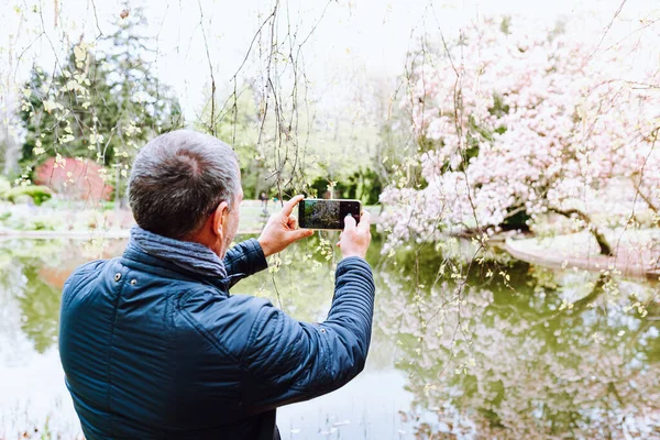 man takes picture with smartphone flowering sakura or magnolia tree growing above lake. View from back, capture travel