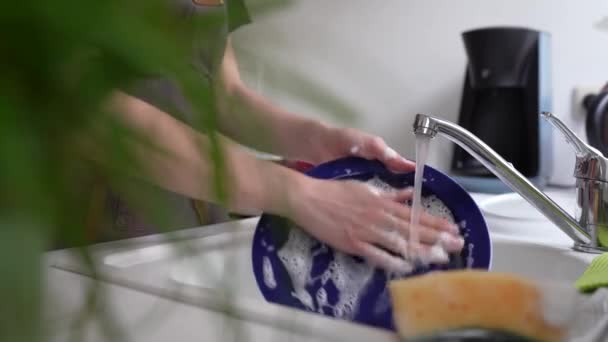 Woman Working Brown Chefs Apron Washes Dishes Detergent Sponge Sink — Stock Video