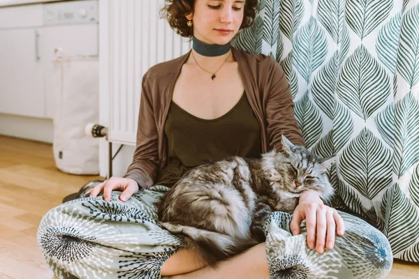 stock image Attractive teenager girl, with curly hair, in fashionable clothes, sits on parquet floor, at home, in living room, fluffy cat lies in arms