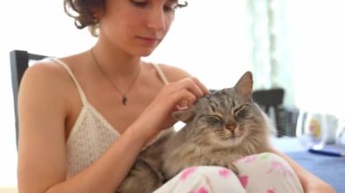 Tişörtlü, pijama pantolonlu, bacak bacak üstüne atmış sandalyede oturan tüylü gri Maine Rakunu kedisi ayaklarının üzerinde yatıyor. Uyuyan kedi