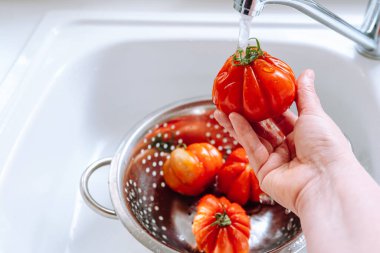 Costoluto Florentine domatesi. Metal kevgire bulanmış kırmızı domatesler, mutfak lavabosunda, üzerine su damlaları serpilmiş. domatesleri yıka