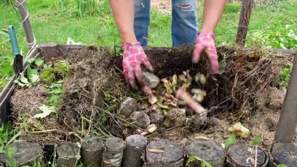 Bahçıvanların Elleri Gübre Kutusunda Yiyecek Atıkları Gübreler Verimli Toprak Karıştırma — Stok video