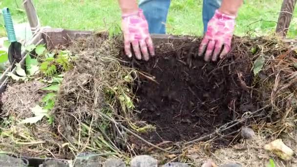 Ogrodnicy Kompostowanie Odpadów Spożywczych Koszu Kompost Ogrodowy Mieszanie Żyznej Gleby — Wideo stockowe