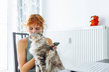 Kedinle vakit geçirmek. Çekici kızıl saçlı genç kız, masada kedisiyle oturuyor, akıllı telefon kullanıyor, dizüstü bilgisayar kullanıyor, evcil hayvanlarla vakit geçiriyor.