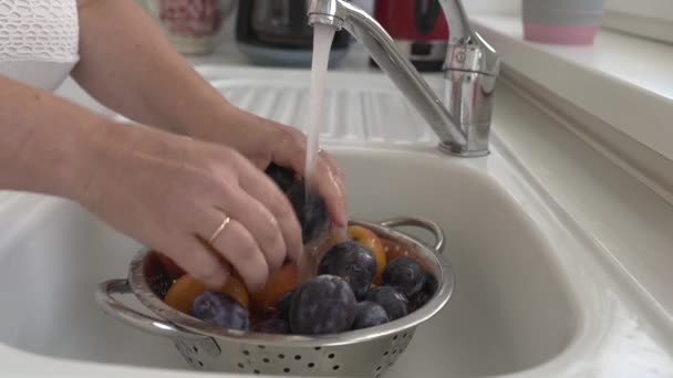 女人的手在厨房的水槽里洗李子和杏子 里面堆放着香菜 — 图库视频影像