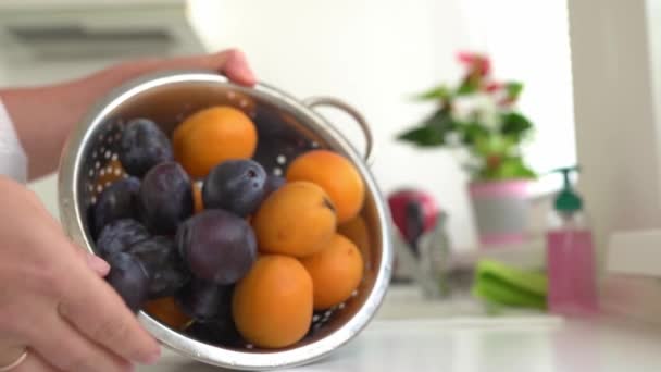Mãos Femininas Despeje Frutas Lavadas Ameixas Damascos Escorredor Papel Toalha — Vídeo de Stock