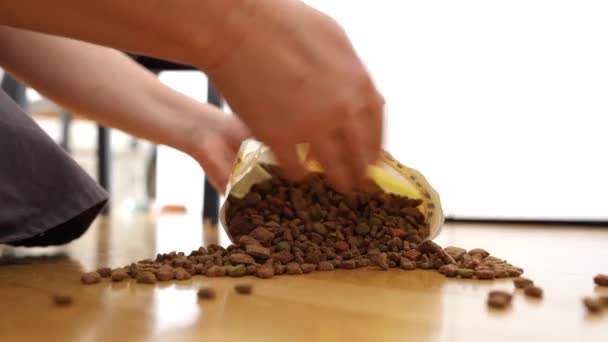 Kobieta Ręce Zbierać Jedzenie Kota Rozrzucone Parkiecie Torby — Wideo stockowe