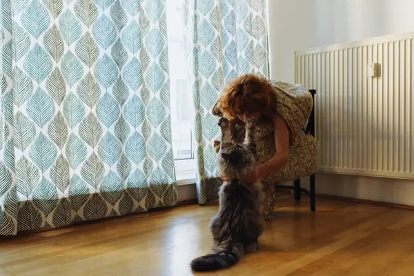 Girl hugging cat, sitting in blanket home, frozen. teen barefoot, red-haired, curly, morning, wrapped in blanket, sits hugging domestic cat, near heating radiator, large window covered with curtains.