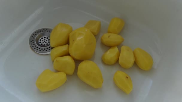 Kochkartoffeln Der Heimischen Küche Weibliche Hände Waschen Geschälte Kartoffeln Der — Stockvideo
