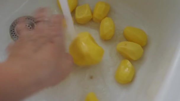 Mutfağında Haşlanmış Patates Pişirmek Kadın Elleri Mutfak Lavabosunda Soyulmuş Patatesleri — Stok video