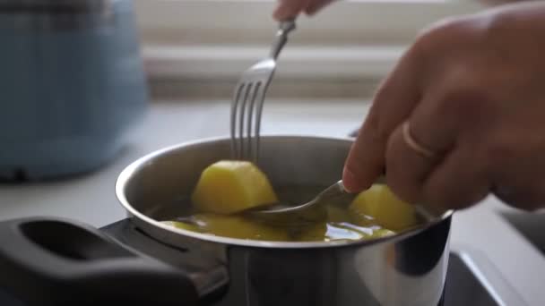 Koken Gekookte Aardappelen Huiskeuken Vrouw Zet Rauwe Geschilde Aardappelen Pan — Stockvideo