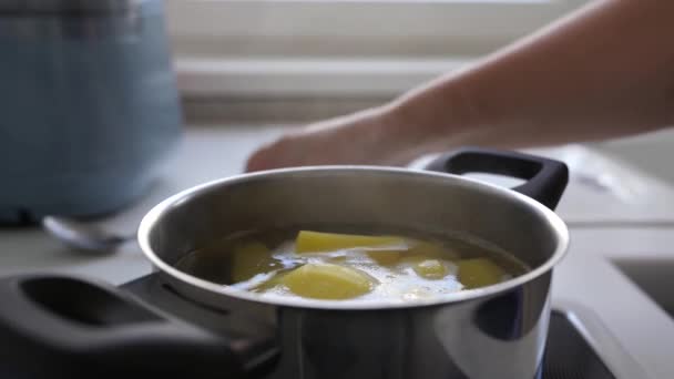 Koken Gekookte Aardappelen Huiskeuken Vrouw Zet Rauwe Geschilde Aardappelen Pan — Stockvideo