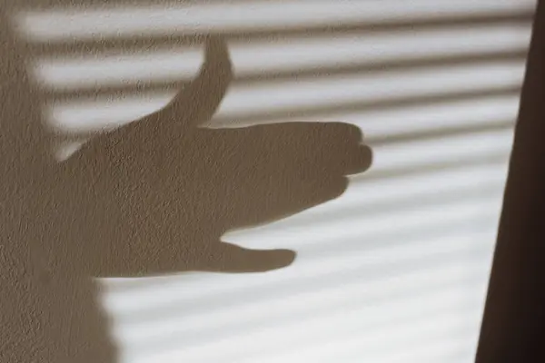 human hand shows shadow play, silhouette dog barking. shadow on wall from sunlight projects stings and silhouette dog