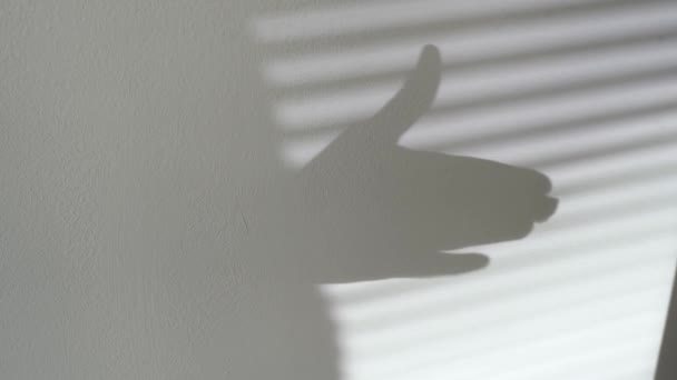 人間の手は影の遊び シルエットの犬の吠えることを示します 太陽光のプロジェクトから壁に影とシルエットドッグ — ストック動画