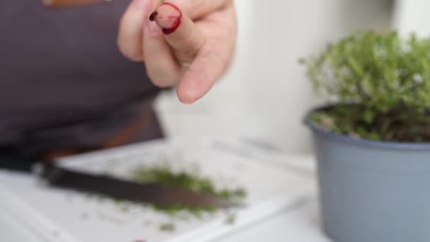 Woman Cook Cut Finger Sharp Knife While Chopping Herbs Blood — Stock Video