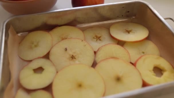 Skär Äpplen Skivor För Ytterligare Torkning Kvinnliga Händer Med Kökskniv — Stockvideo