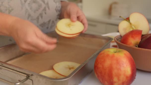 把苹果切成薄片以便进一步烘干 女手用菜刀把成熟的大苹果切成薄片铺在烤盘上 — 图库视频影像
