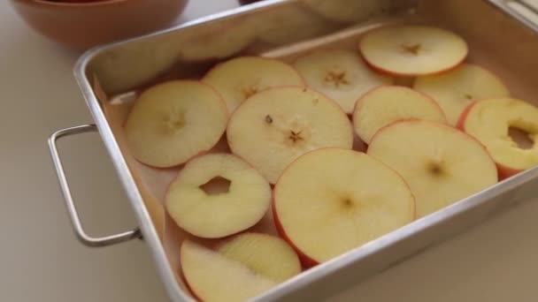 Daha Fazla Kurutmak Için Elmaları Dilimlere Ayırıyor Mutfak Bıçağı Kullanan — Stok video