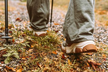 Sonbahar ormanlarında İskandinav yürüyüşü, genç bir kızı yürüyüşe çıkarmak. macera ve egzersiz konsepti, kadınlar yürüyüş, rahat yürüyüş ayakkabıları ve sonbahar doğasında İskandinav yürüyüş direkleri.
