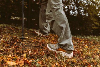 Sonbahar ormanlarında İskandinav yürüyüşü, genç bir kızı yürüyüşe çıkarmak. macera ve egzersiz konsepti, kadınlar yürüyüş, rahat yürüyüş ayakkabıları ve sonbahar doğasında İskandinav yürüyüş direkleri.