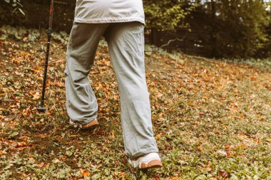 Sonbahar ormanlarında İskandinav yürüyüşü, genç bir kızı yürüyüşe çıkarmak. macera ve egzersiz konsepti, kadınlar yürüyüş, rahat yürüyüş ayakkabıları ve sonbahar doğasında İskandinav yürüyüş direkleri.