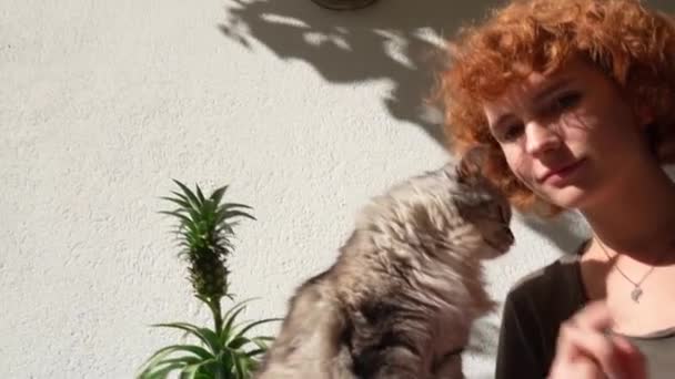 Portré Vörös Hajú Vonzó Tizenéves Lány Bolyhos Dorombol Macska Ban — Stock videók