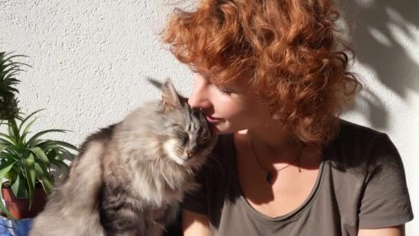 Retrato Cabelos Vermelhos Atraente Adolescente Gato Ronronando Fofo Raios Sol — Vídeo de Stock