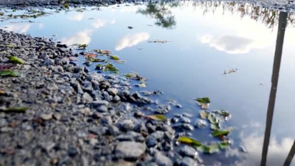 砂砾路上的坑洞 映衬着天空 落黄的树叶和汽车车轮 秋天沮丧的现实 — 图库视频影像