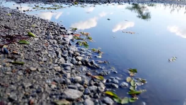 砂砾路上的坑洞 映衬着天空 落黄的树叶和汽车车轮 秋天沮丧的现实 — 图库视频影像