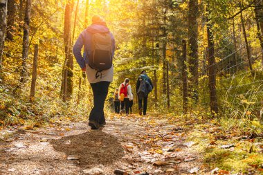 Gün batımında grup turistler sırt çantalarıyla orman yolunda yürüyor.