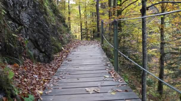 Podróż Przez Jesienne Alpy Wzdłuż Trasy Drewnianym Mostem — Wideo stockowe