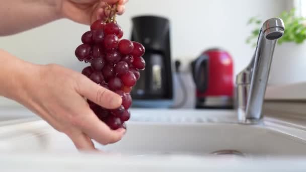 Vrouwen Handen Wassen Bos Rode Druiven Onder Stromend Water Uit — Stockvideo