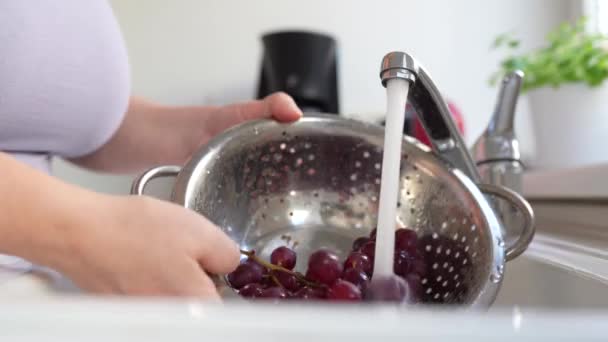Vrouwen Handen Wassen Bos Rode Druiven Vergiet Onder Stromend Water — Stockvideo