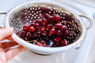 Kadınların elleri mutfak musluğundan akan suyun altında bir demet kırmızı üzümü kevgire batırır.