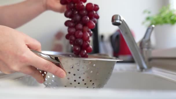 Vrouwen Handen Wassen Bos Rode Druiven Vergiet Onder Stromend Water — Stockvideo