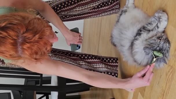 Tiener Meisje Eigenaar Huisdier Kat Slagen Massages Groot Grijs Pluizig — Stockvideo