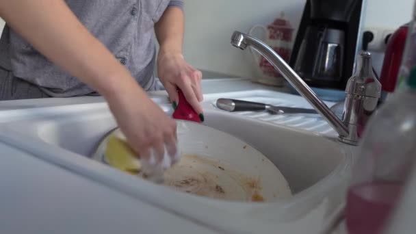 Händer Ung Kvinna Tvätta Smutsiga Fet Stekpanna Handfat Hemkök — Stockvideo