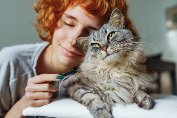 Teenage Girl Takes Care Fur Fluffy Long Haired Domestic Cat Stock Photo