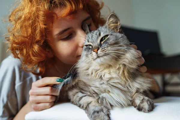 Teenage Girl Takes Care Fur Fluffy Long Haired Domestic Cat Stock Image