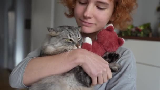 Red Haired Teenage Girl Holds Fluffy Gray Domestic Cat Arms — Stock Video