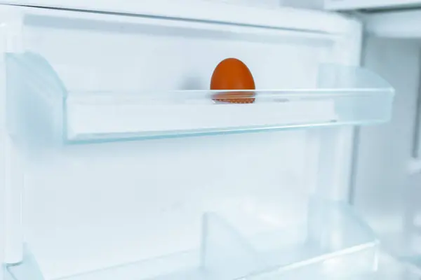 empty refrigerator with one egg in tray. close-up