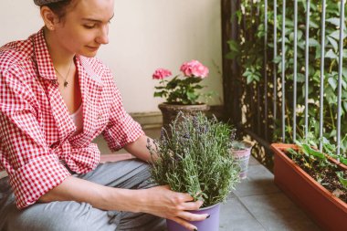 Çekici genç kadın, pembe ekose gömlek, bandaj saçlı, favori hobisi, çiçek nakli çiçek saksıları, balkon kutusu, gübre toprağı, tohum ekme dekoratif çiçek